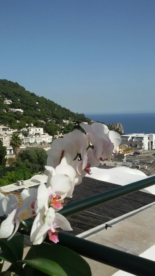 Pensión Casa Costanza Capri